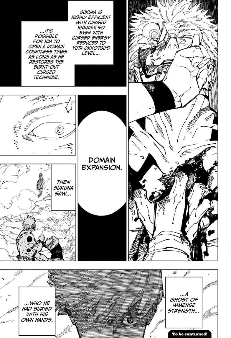 Jujutsu Kaisen Manga Chapter 260 page 17 - Inhuman Makyo Shinjuku Showdown, Part 32