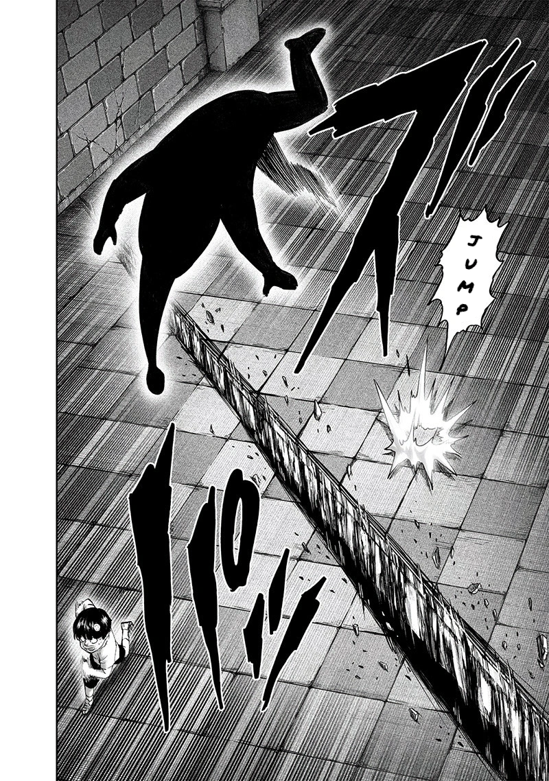 One Punch Man Manga Chapter 105 page 26 - Authenticity