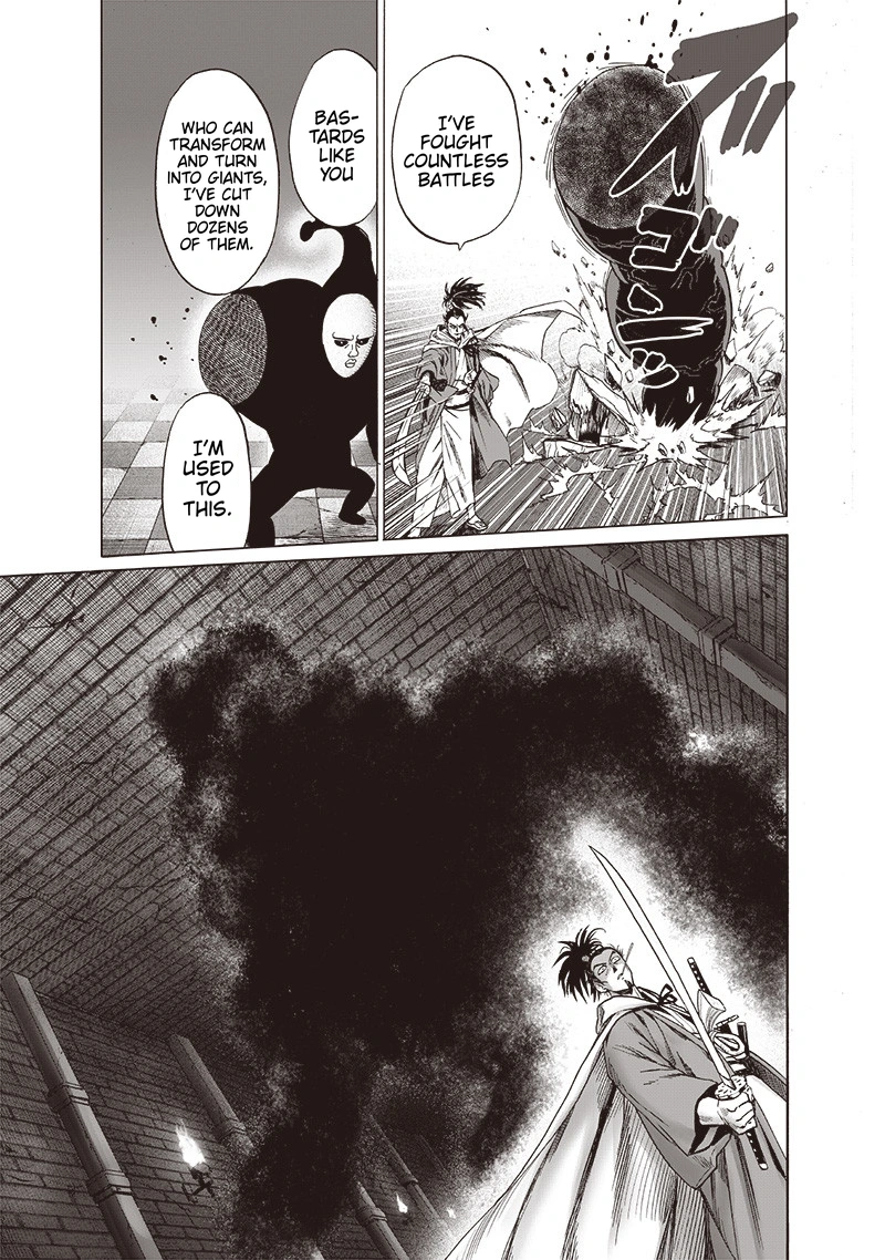 One Punch Man Manga Chapter 106 page 28 - Terrible Multiplying Bastard