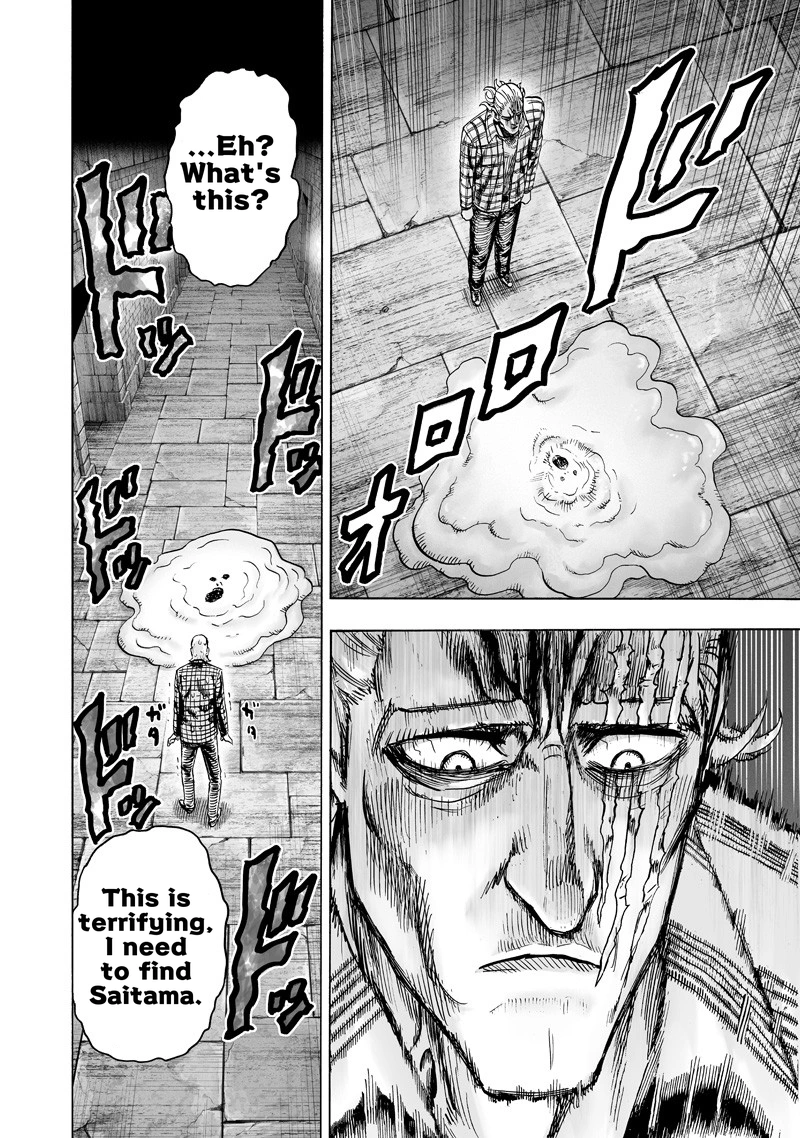One Punch Man Manga Chapter 113 page 28 - Fake