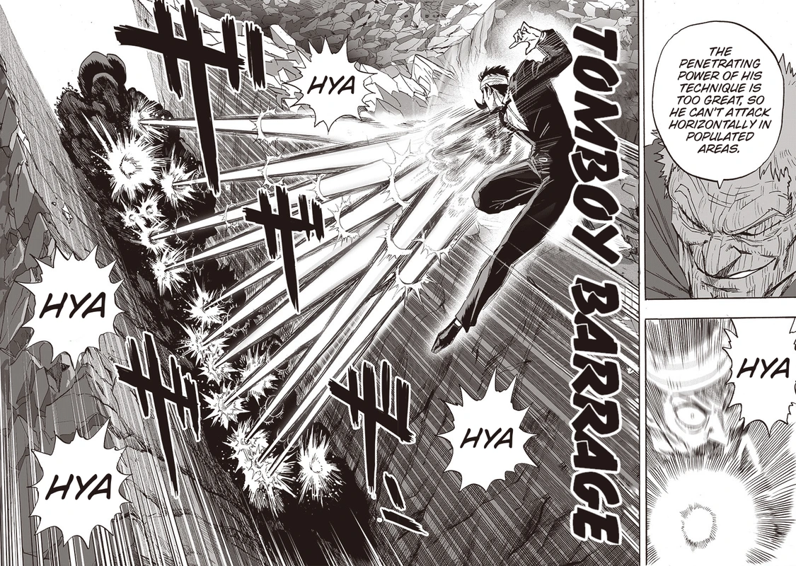 One Punch Man Manga Chapter 146 page 17 - Backup