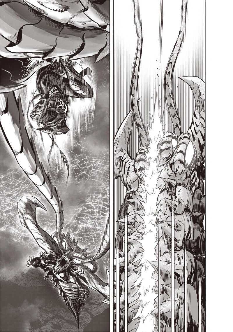 One Punch Man Manga Chapter 159 page 10 - Blessing