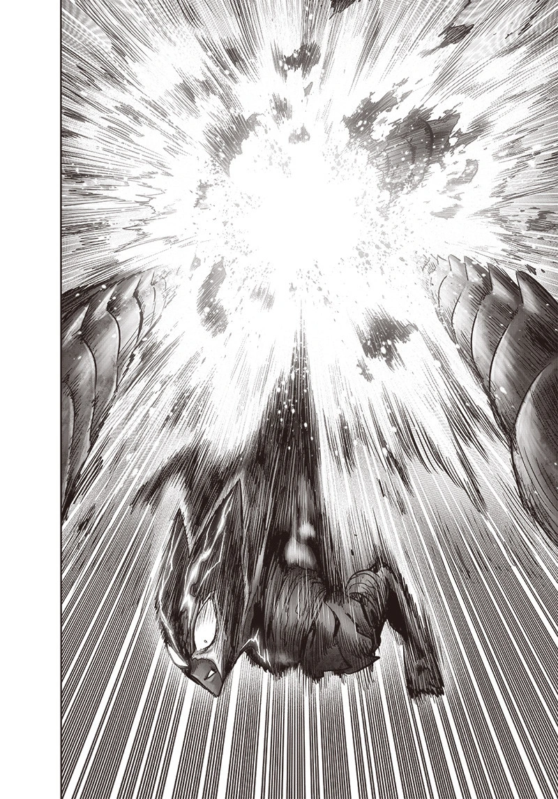 One Punch Man Manga Chapter 159 page 11 - Blessing