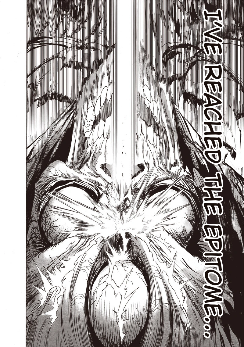 One Punch Man Manga Chapter 159 page 17 - Blessing