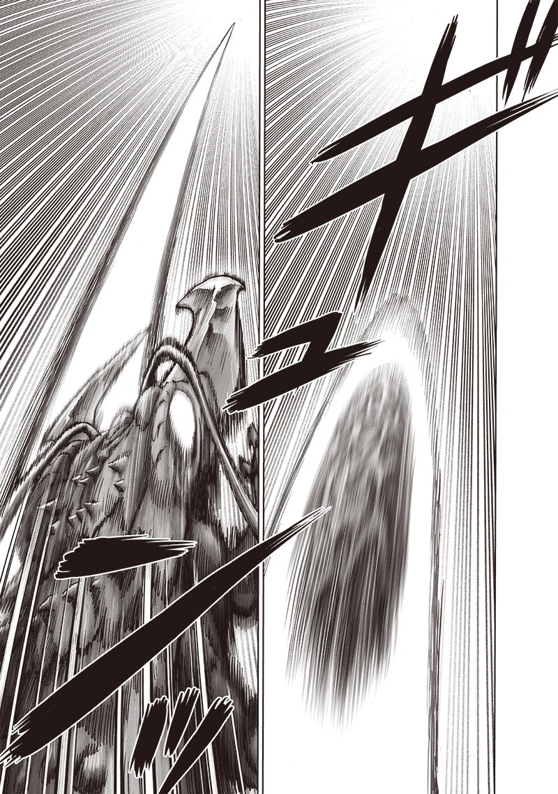 One Punch Man Manga Chapter 159 page 6 - Blessing