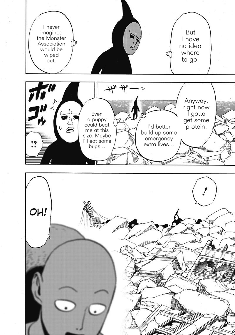 One Punch Man Manga Chapter 171 page 21 - The Last Guy I Wanna Run Into