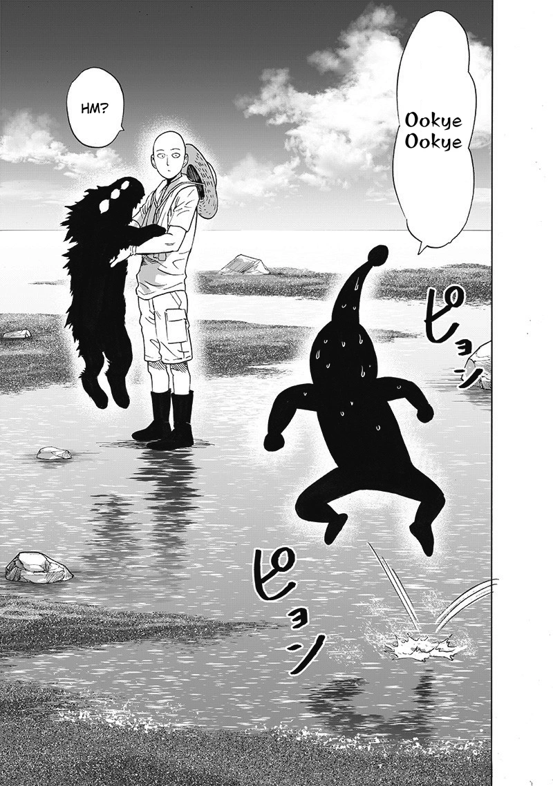 One Punch Man Manga Chapter 171 page 30 - The Last Guy I Wanna Run Into