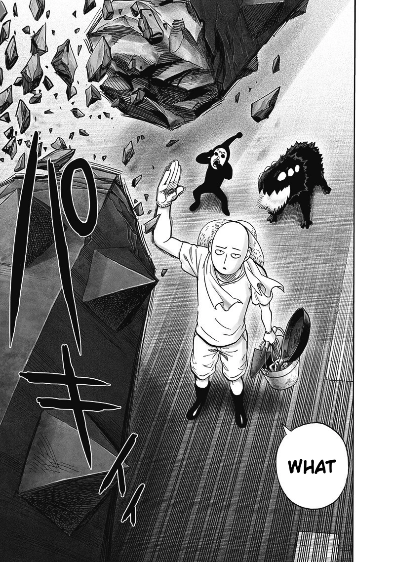 One Punch Man Manga Chapter 172 page 20 - New Home