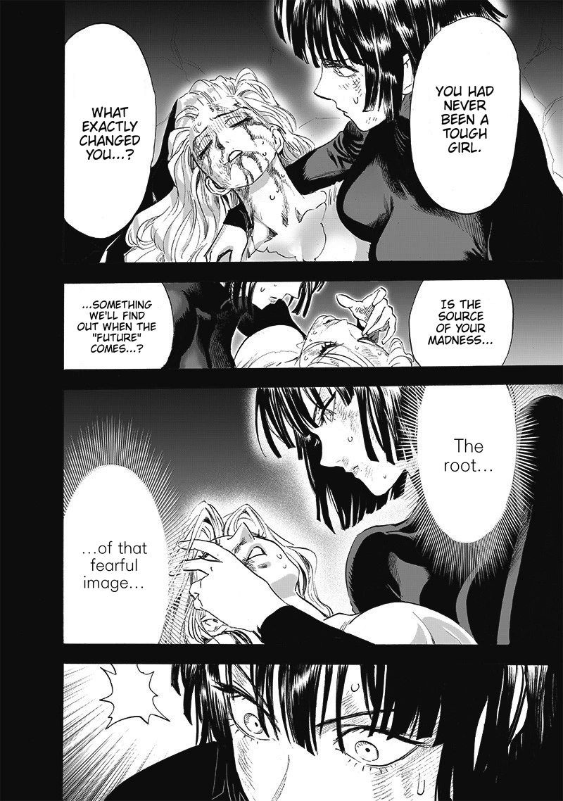One Punch Man Manga Chapter 176 page 11 - Hypocenter