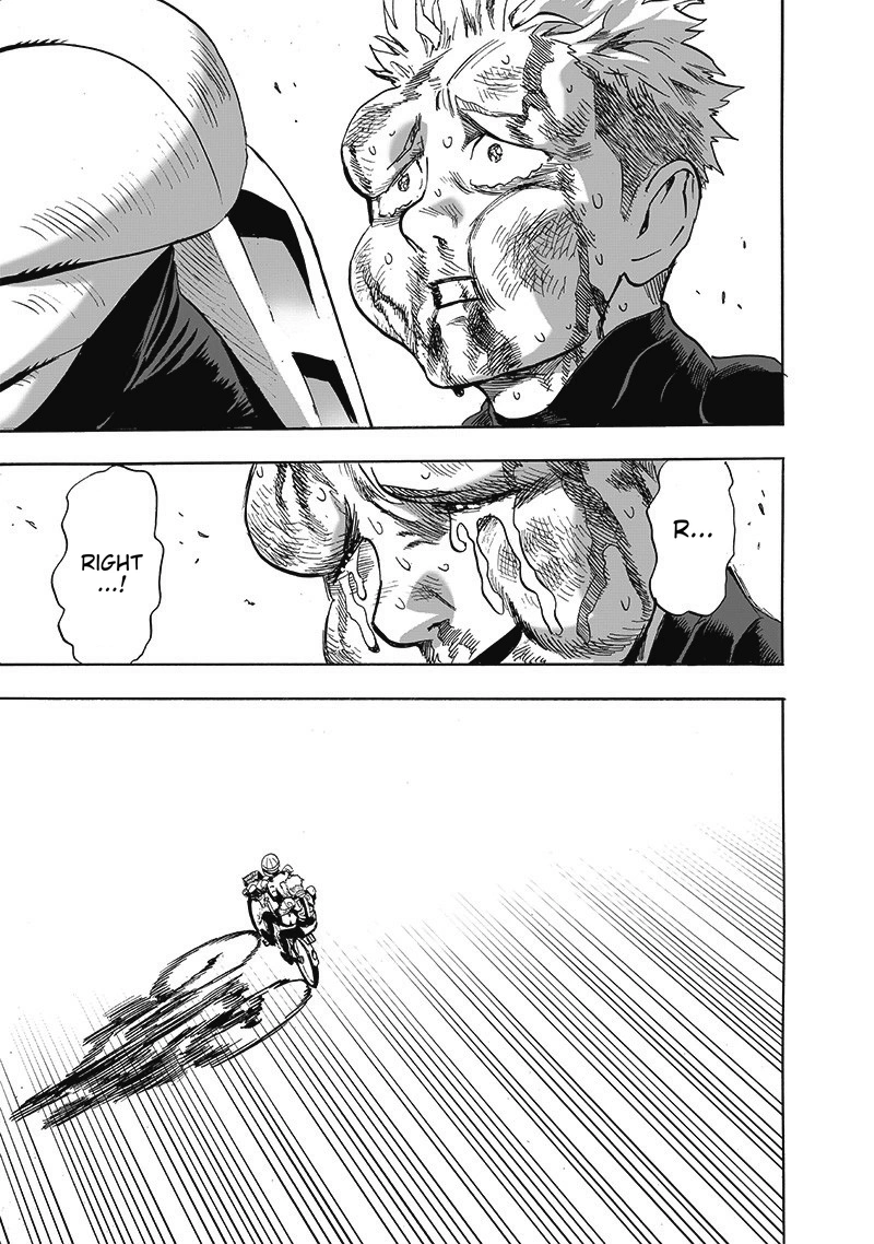 One Punch Man Manga Chapter 187 page 37 - The Butterfly and The Back
