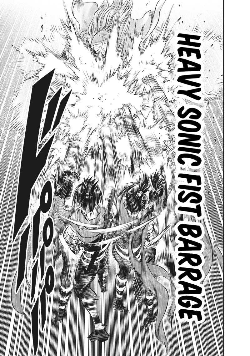 One Punch Man Manga Chapter 198 page 14 - The Way You Are Now