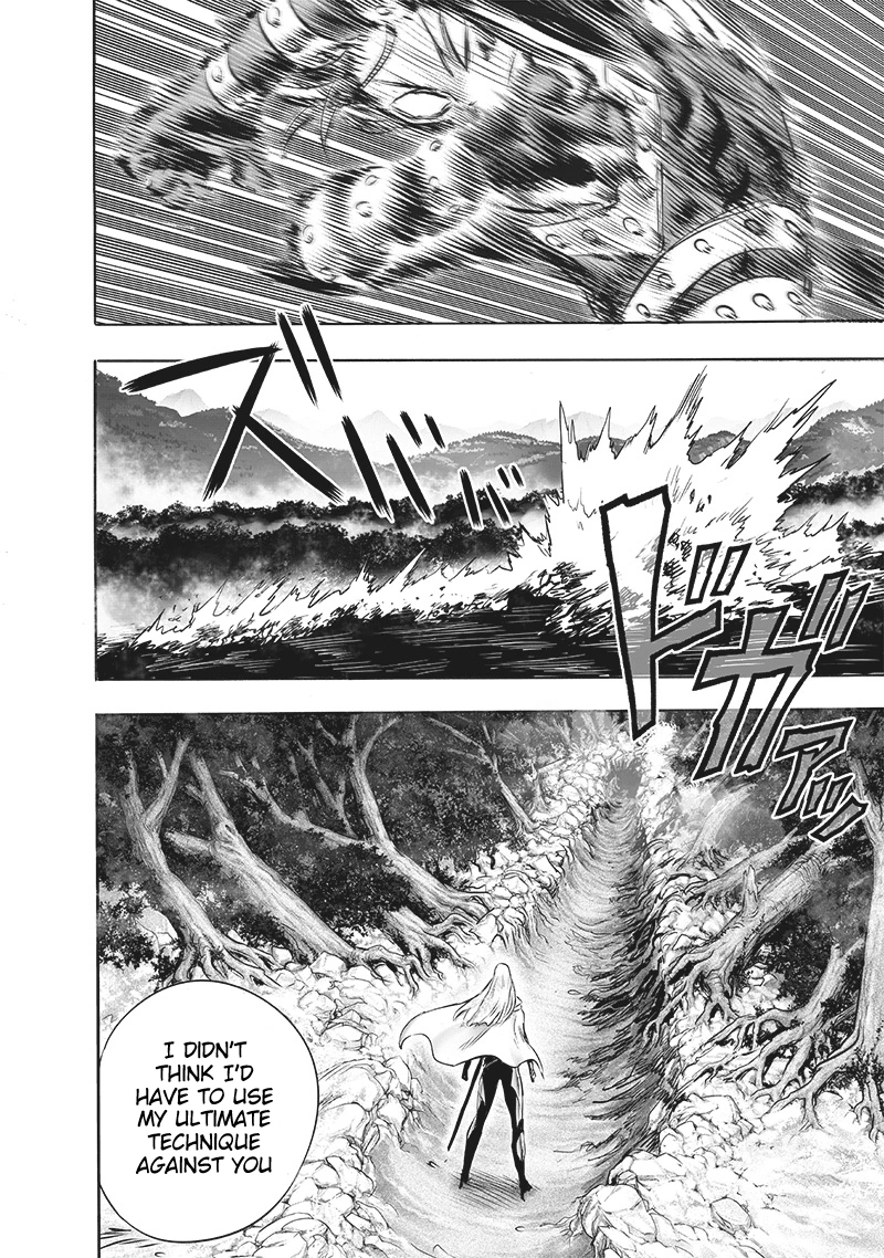 One Punch Man Manga Chapter 198 page 20 - The Way You Are Now