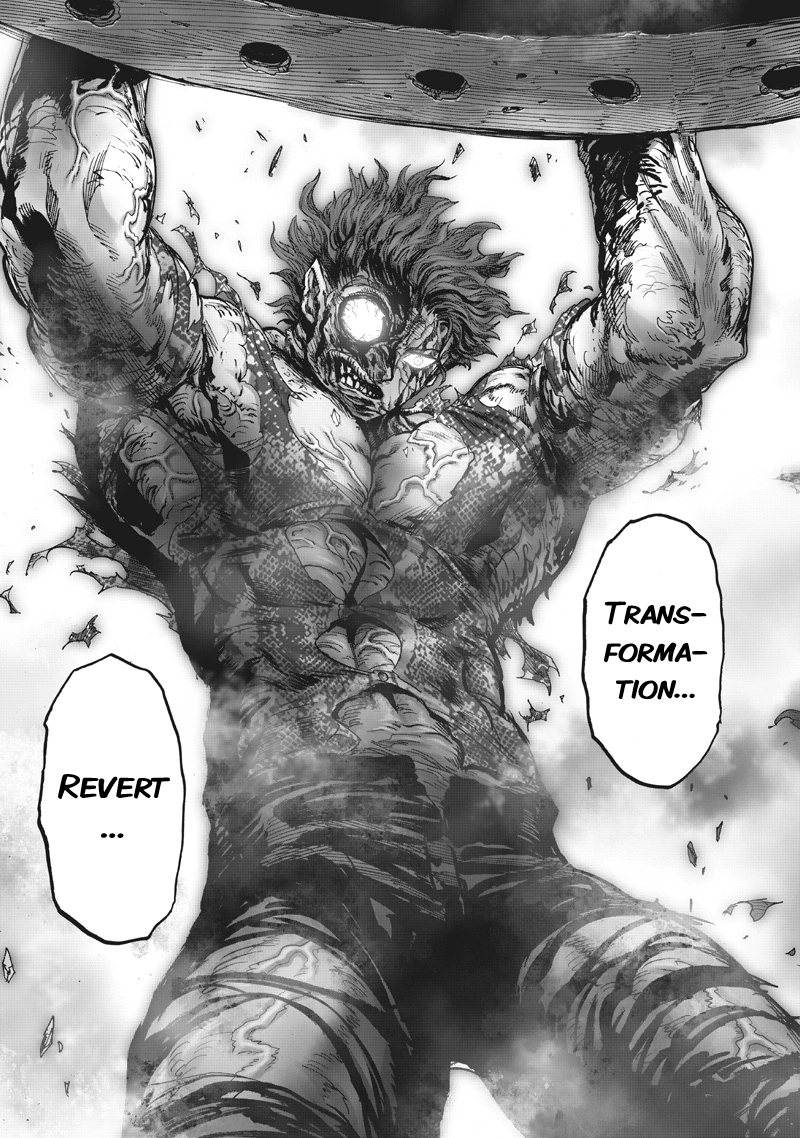 One Punch Man Manga Chapter 215 page 22 - What You Are