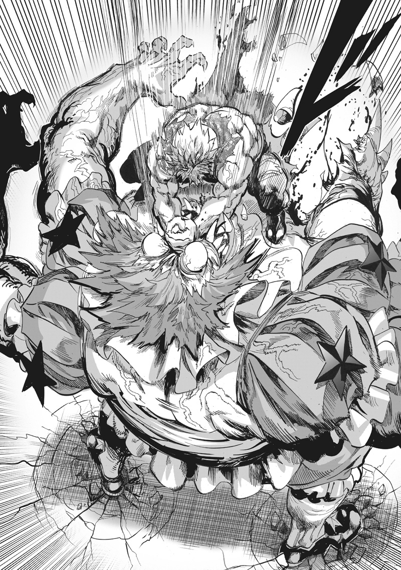 One Punch Man Manga Chapter 217 page 13 - A Stone