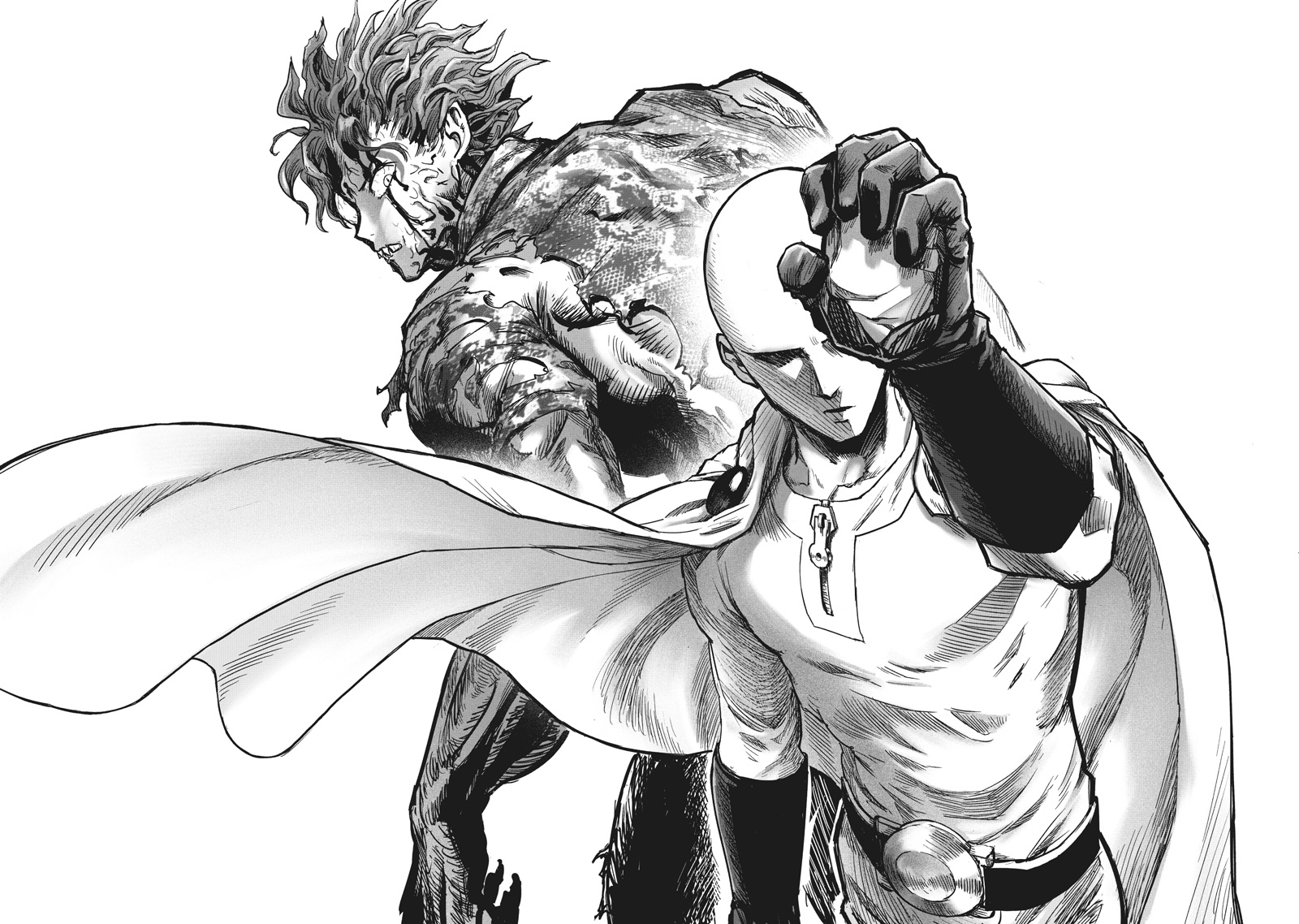 One Punch Man Manga Chapter 217 page 19 - A Stone