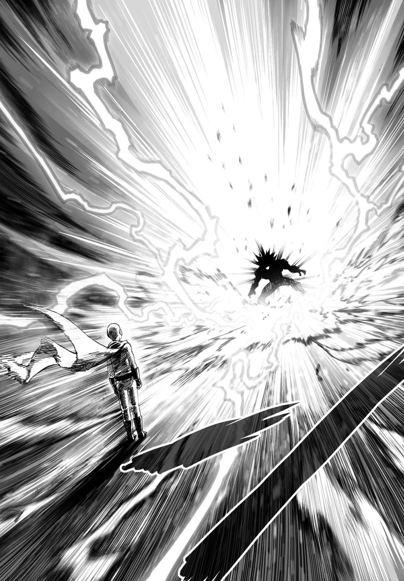One Punch Man Manga Chapter 34 page 15 - Are You Stupid