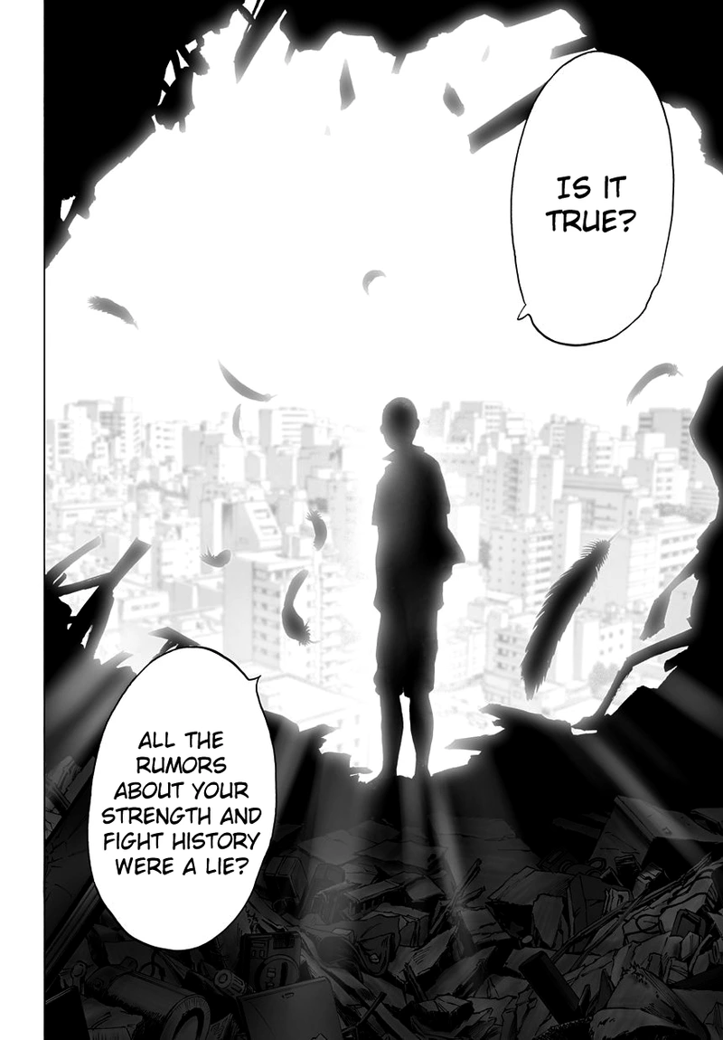 One Punch Man Manga Chapter 39 page 11 - That Person