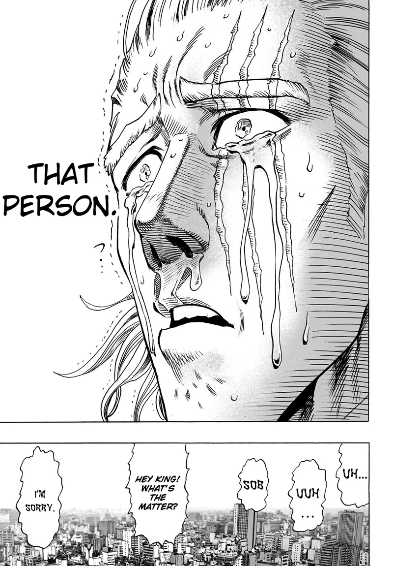 One Punch Man Manga Chapter 39 page 18 - That Person